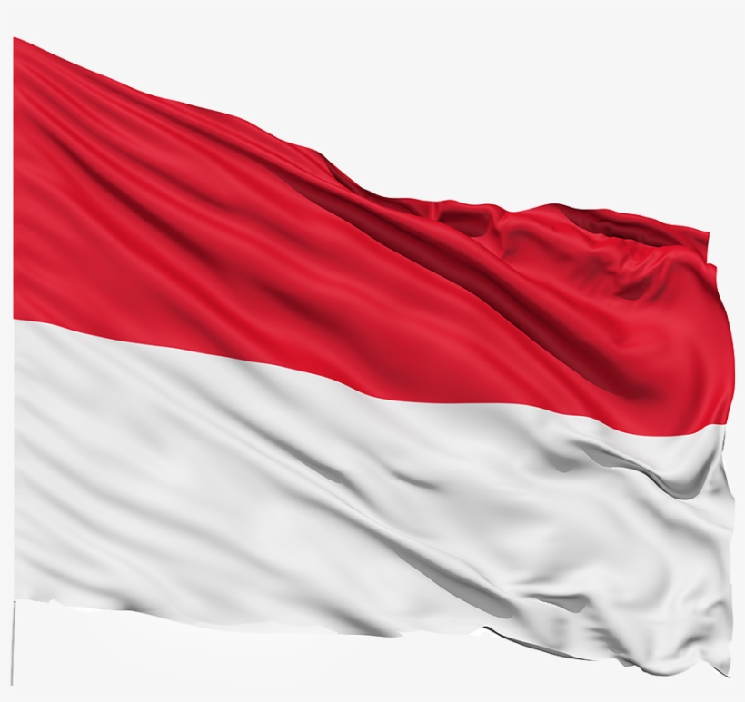 Indonasia - Illinois State Flag, transparent png #8628445