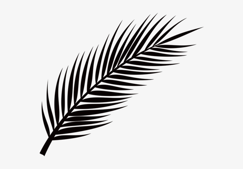 Picture - Palm Leaf Png Free, transparent png #8630477