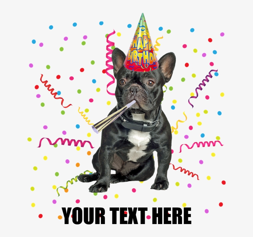 Custom French Bulldog Birthday Burp Cloth - Birthday Wishes With French Bulldog, transparent png #8631721