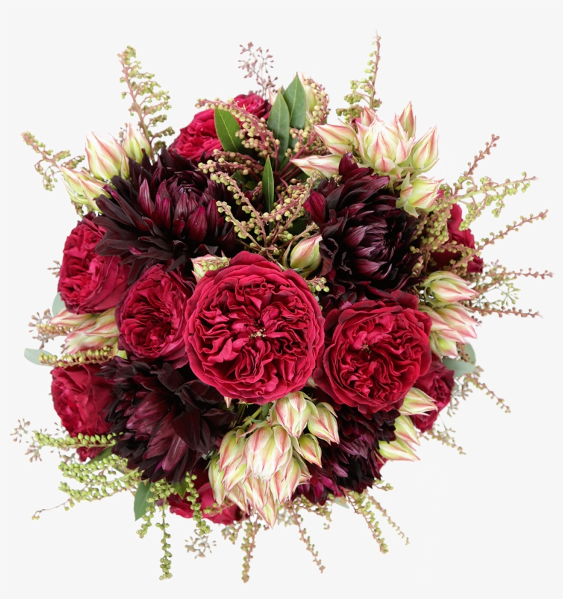 Red Red Wine - Garden Roses, transparent png #8632748
