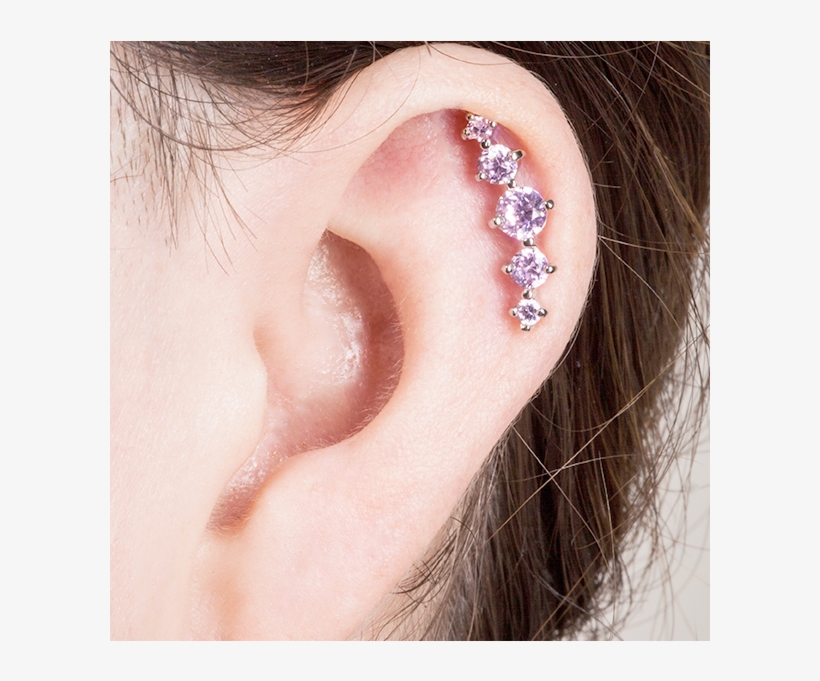 Cartilage Piercing Ring - Cartilage Piercings Earrings, transparent png #8632838