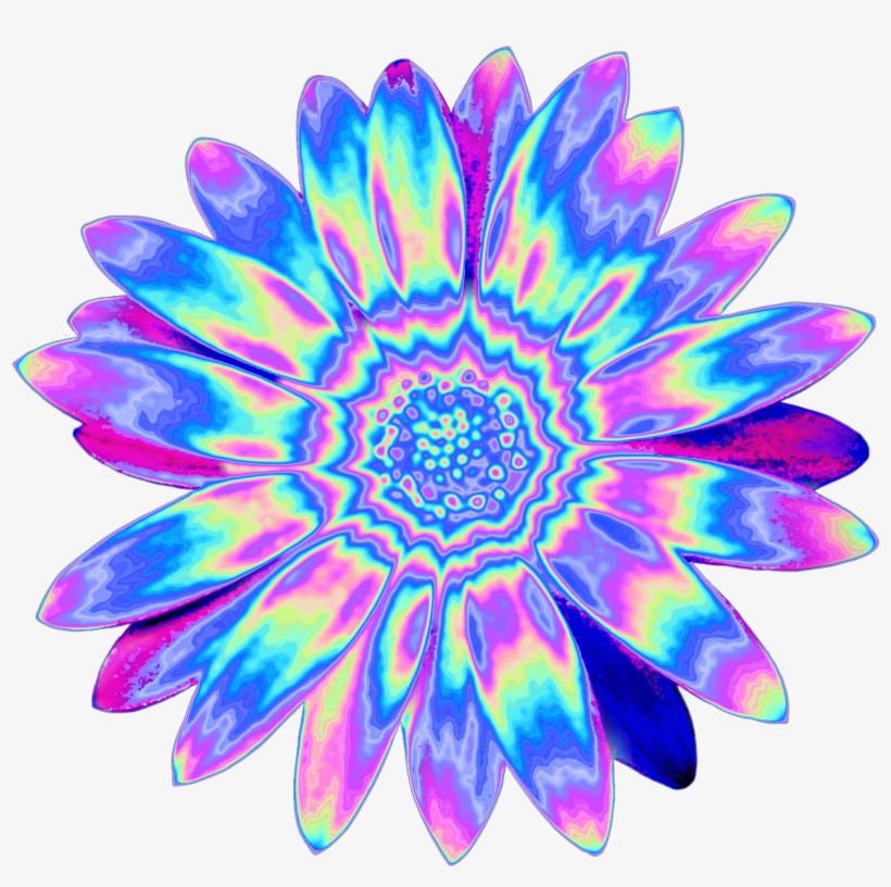 • Shapely Flower Holo Holographic Tumblr Vaporwave - African Daisy, transparent png #8634168