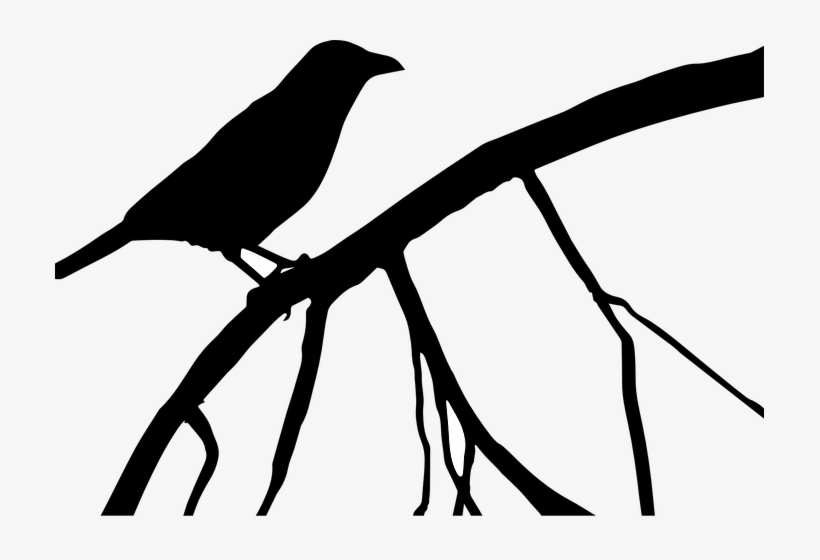 Crow, Raven, Bird, Black, Dark - Blackbird The Beatles, transparent png #8636430