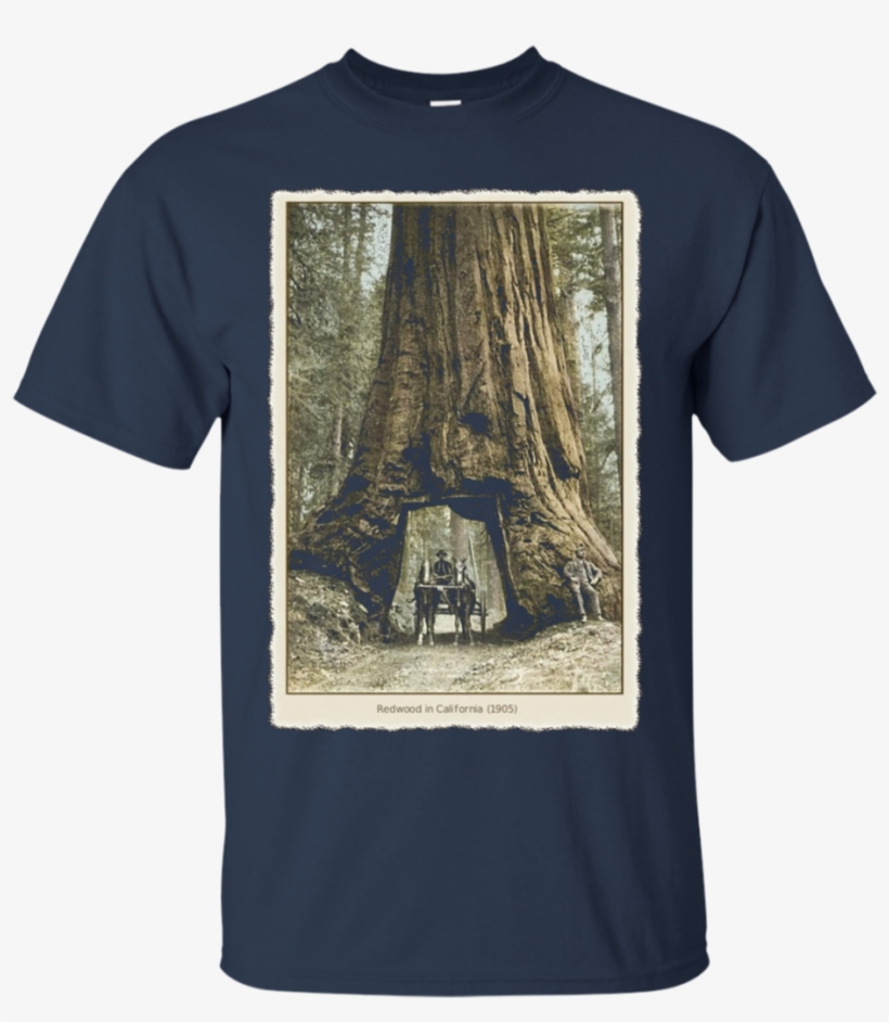 Vintage Redwood Forest , California Redwoods Trees - Boycott Israel Shirt, transparent png #8636736