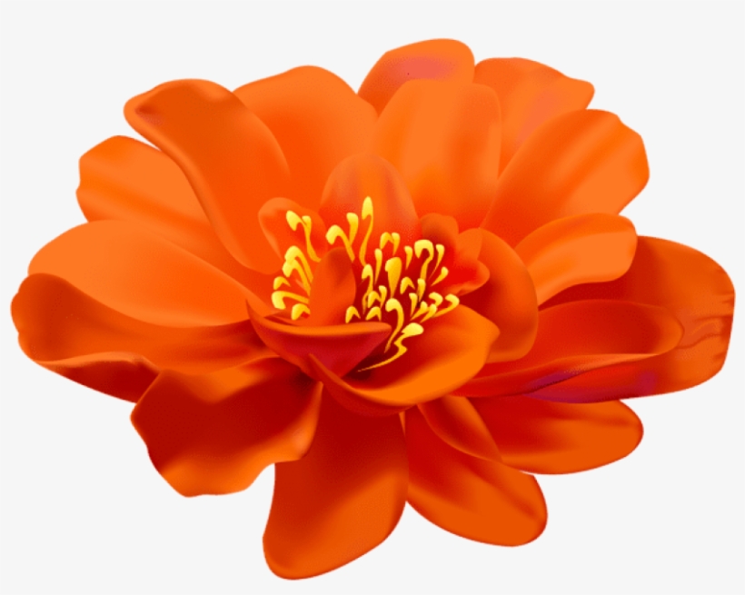 Free Png Download Flower Orange Transparent Png Images - Transparent Flower, transparent png #8636738