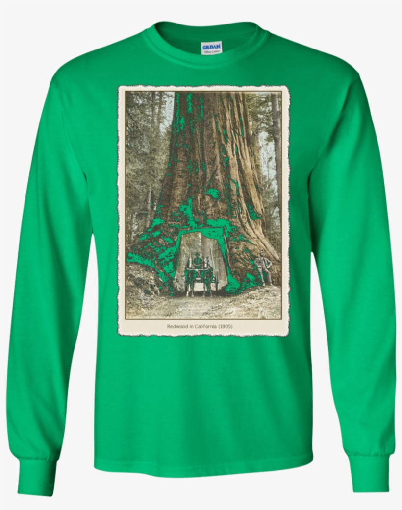 Vintage Redwood Forest , California Redwoods Trees, transparent png #8636873