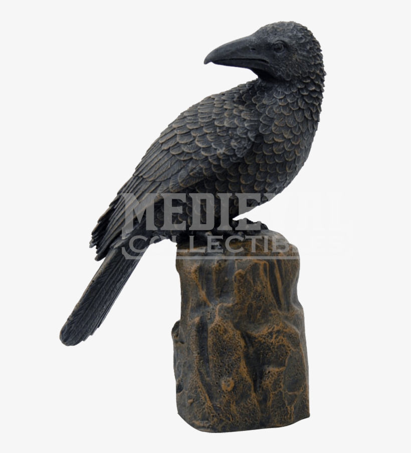 Raven Silhouette Perched - American Crow, transparent png #8636877