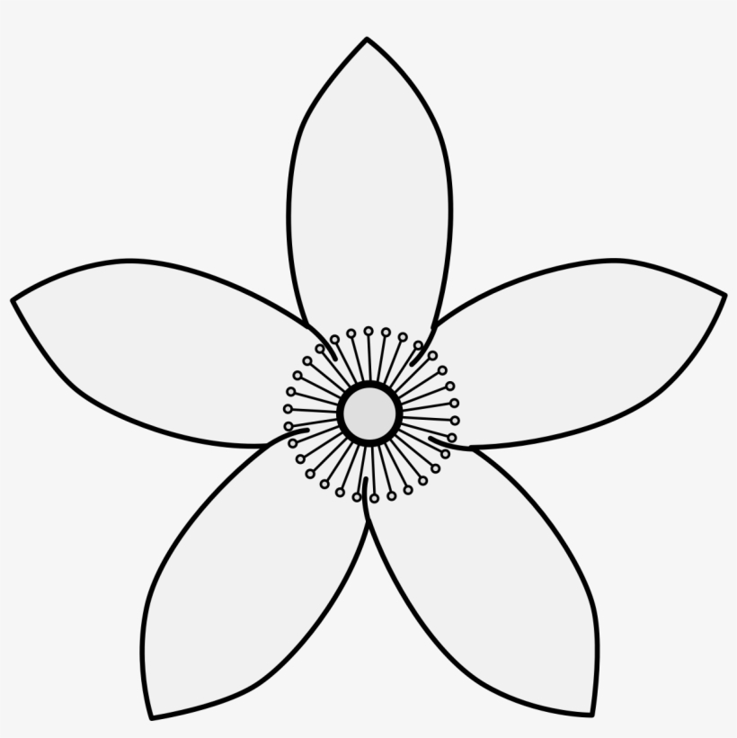 Details, Png - Flower White Icon Png, transparent png #8636905