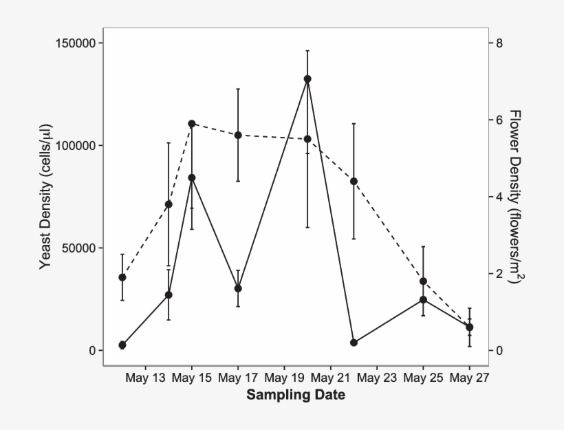 Temporal Variation In Yeast Cell And Flower (dashed, transparent png #8637642