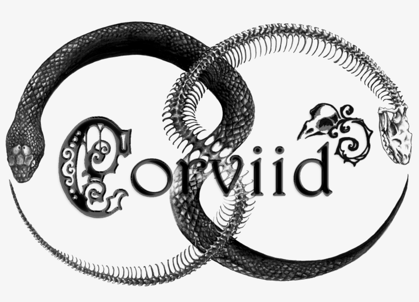 Corviid's Signature, transparent png #8638980