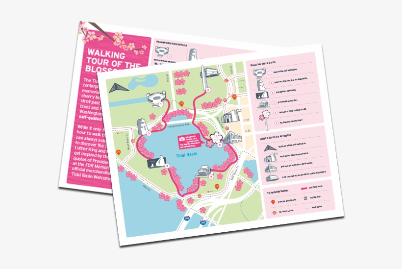 Cherry Blossom Walking Tour Cover Graphic - Map, transparent png #8639106