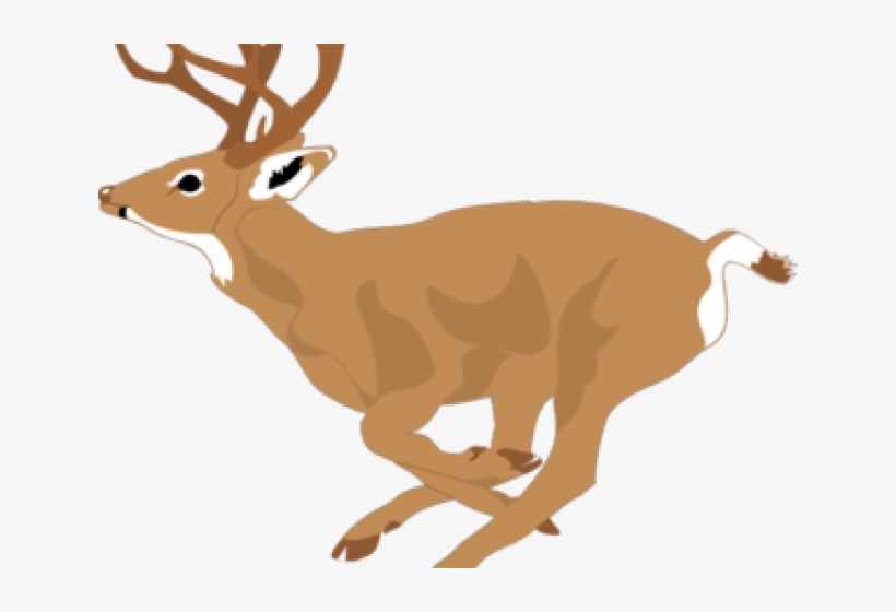 White Tailed Deer Clipart, transparent png #8640121