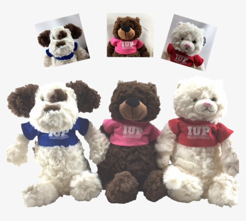 Stuffed Animal, Fuzzy Bunch With Iup T-shirt - Teddy Bear, transparent png #8640153