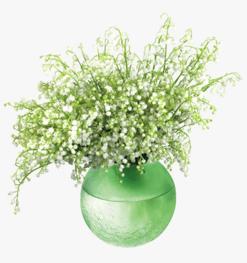 Free Png Download Lily Of The Valleyin Vase Png Images - Vase De Fleure Deco, transparent png #8640235