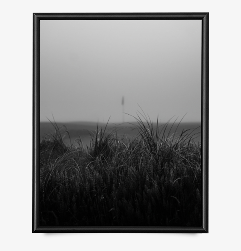 Fog Fescue Giclée Print - Monochrome, transparent png #8640607