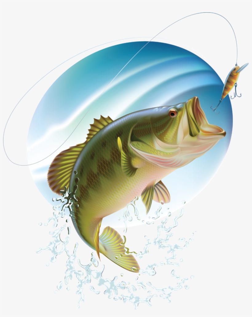 Bass Fishing Clipart Free - Free Transparent PNG Download - PNGkey
