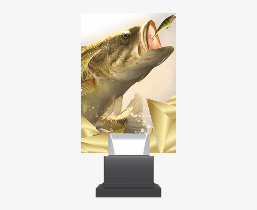 A New Standard Of Glass Trophies Mounted On An Elegant - Lunge, transparent png #8641735