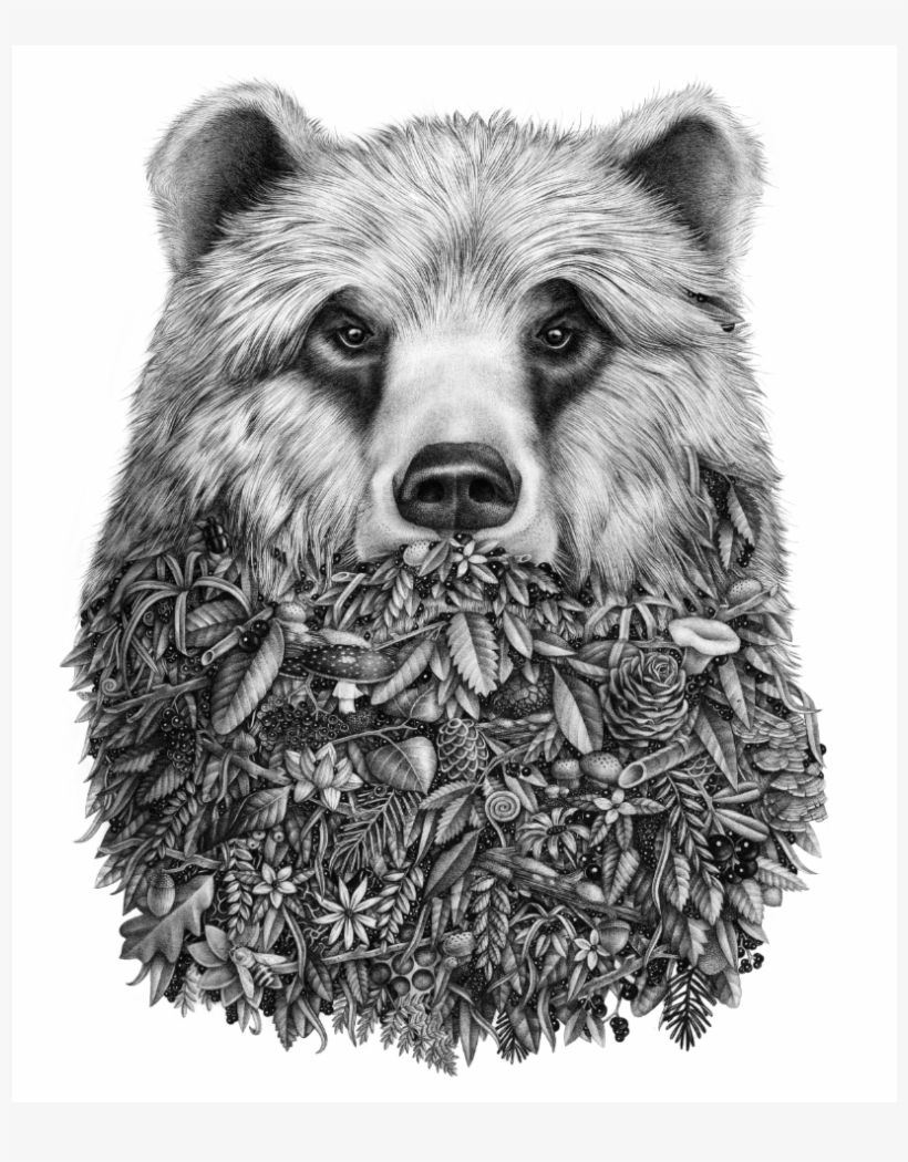 Back To Top - Realistic Bear Face Drawing, transparent png #8643210