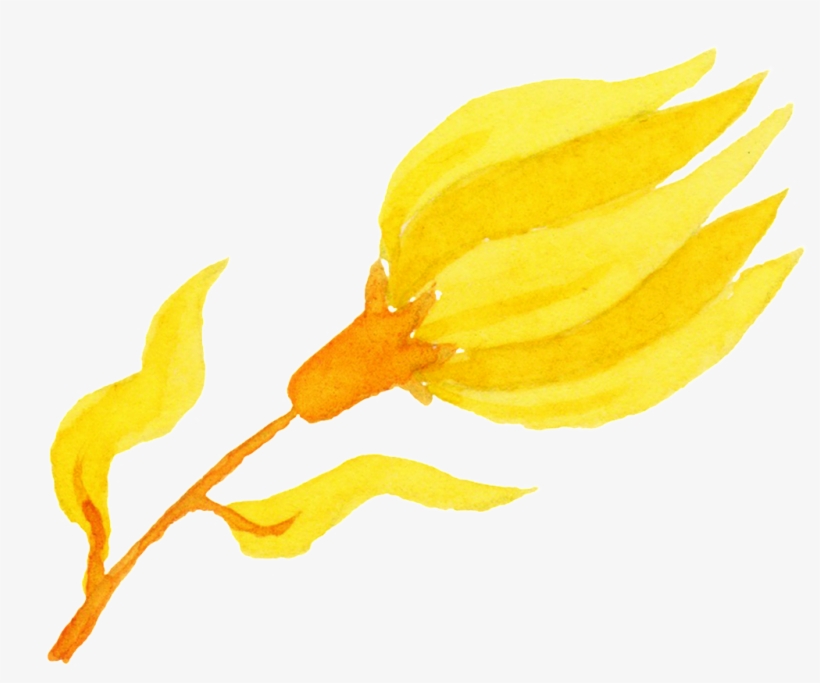 Golden Yellow Flower Cartoon Transparent - Sunflower, transparent png #8643320