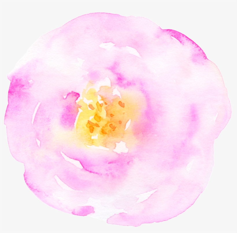 Card Decoration Flower Cartoon Transparent - Moth Orchid, transparent png #8643376