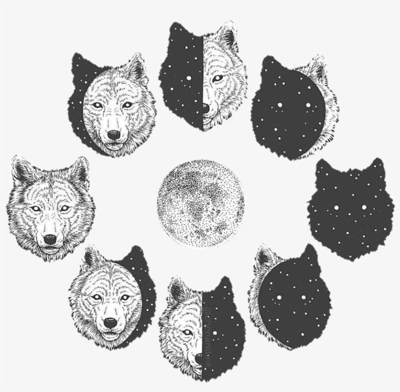 Wolf Aesthetic Tumblr - Wolf And Moon Drawing, transparent png #8643725