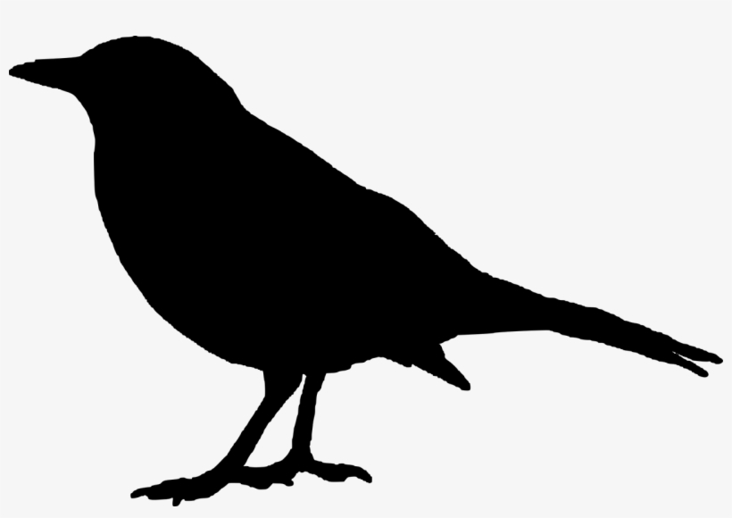 Vector Graphics,free Pictures, Free Photos, - Crow Silhouette, transparent png #8643791