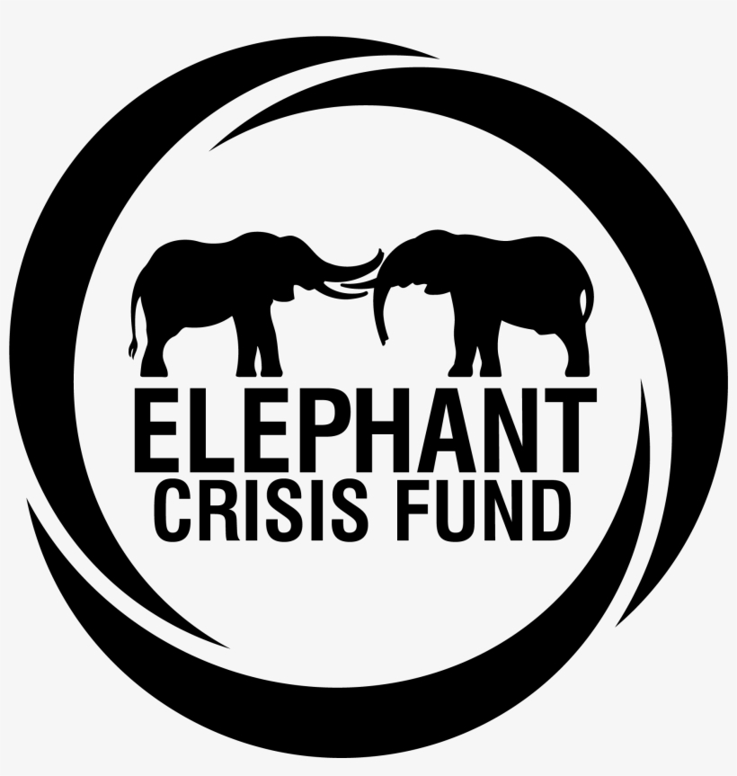 Elephant Crisis Fund Logo, transparent png #8644335