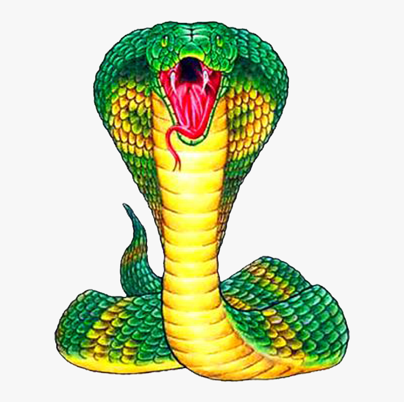 King Cobra Snake Clipart, transparent png #8647397