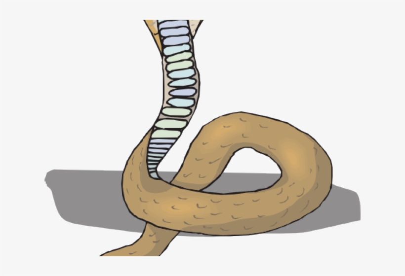 Clip Art, transparent png #8647430