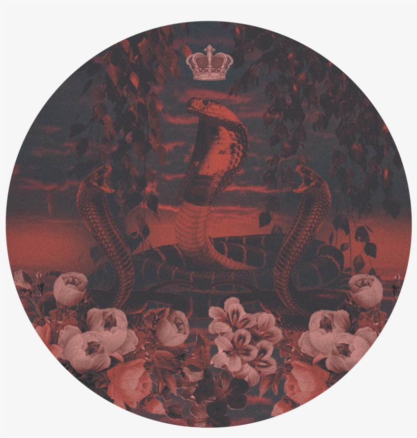 King Cobra - Motif, transparent png #8647476