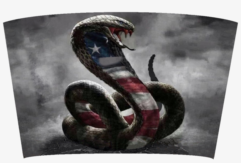 King Cobra American Spitter, transparent png #8647940