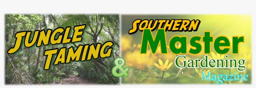 Logo - Graphic Design, transparent png #8648064