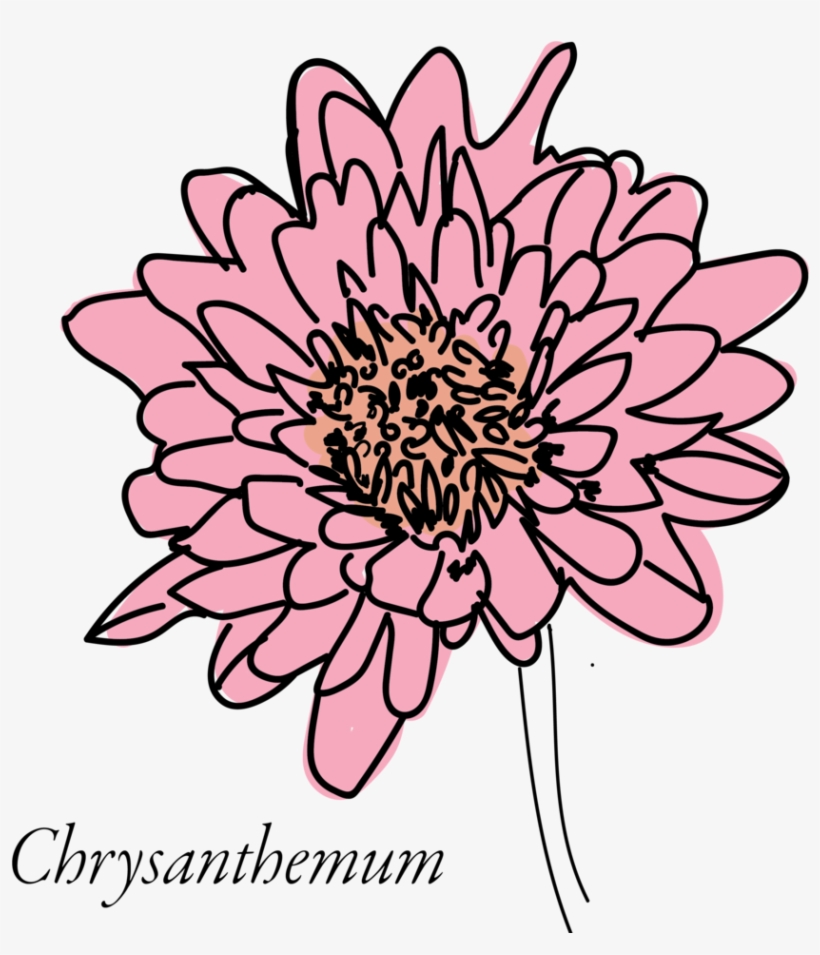 Chrysanthemum-03 - African Daisy, transparent png #8648595
