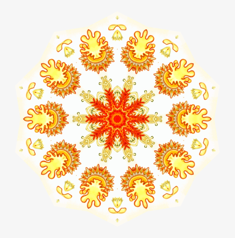 Floral Design Symmetry Starfish By Ernst Haekel - Ernst Haeckel, transparent png #8648931