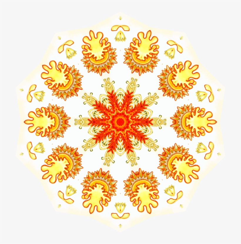 Floral Design Symmetry Starfish By Ernst Haekel - Ernst Haeckel, transparent png #8648931