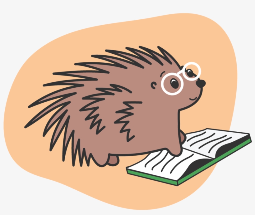 Learn About Suicide - New World Porcupine, transparent png #8648935