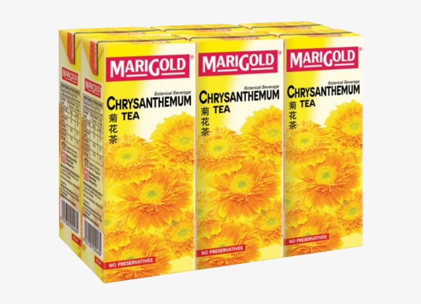 Chrysanthemum Tea Malaysia, transparent png #8649014