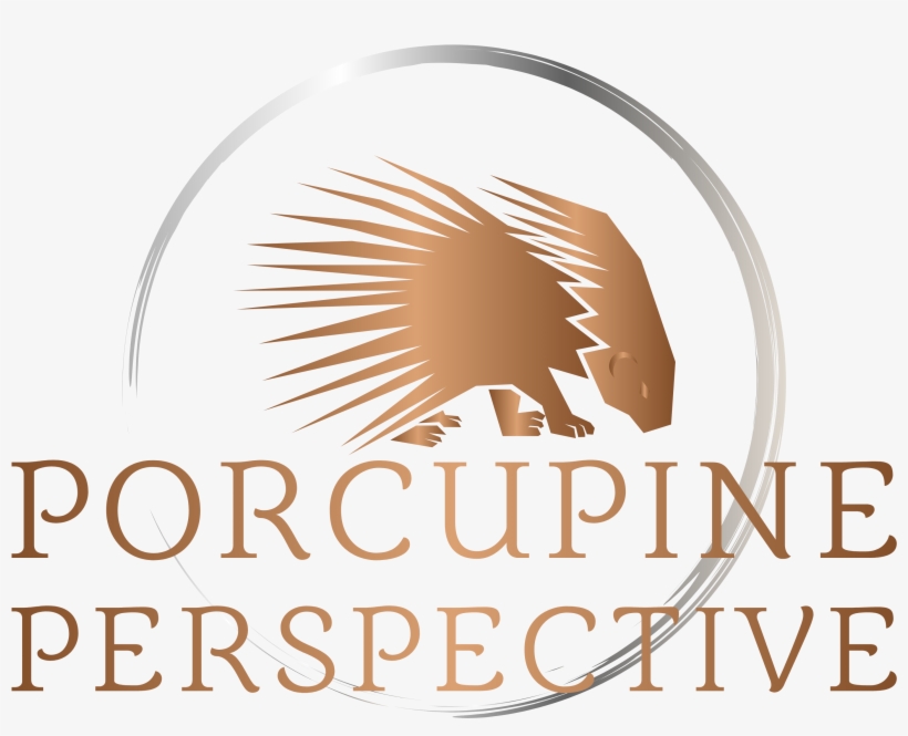 Porcupine Perspective Porcupine Perspective - Poster, transparent png #8649935