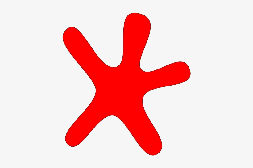 This Png File Is About Star , Rund , Round , Stern - Marine Invertebrates, transparent png #8650458