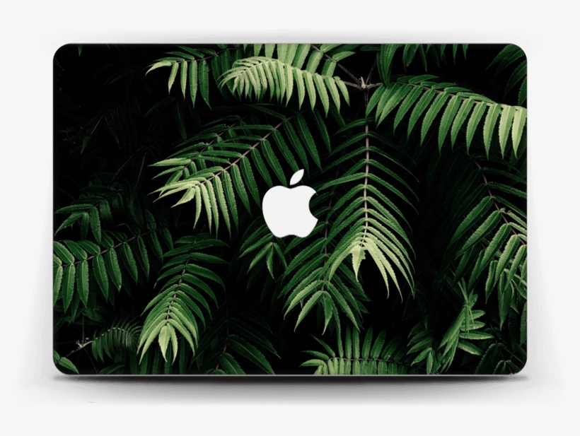 Tropics Skin Macbook Air 13” - Fundas Tropicales Iphone X, transparent png #8650956