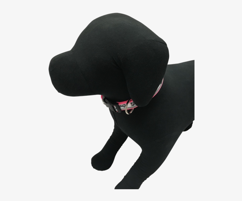 Philadelphia Eagles Dog Collar - Dog, transparent png #8651155