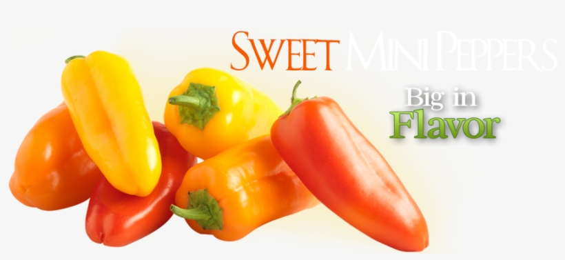 900 X 370 3 - Mini Sweet Peppers Png, transparent png #8651307