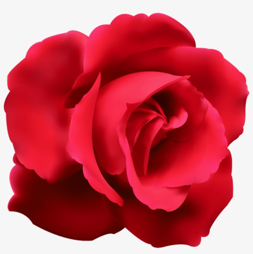 Free Png Download Red Rose Png Images Background Png - Roses Clip Art Png Transparent, transparent png #8653511