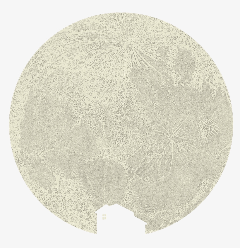 Circle, transparent png #8653865