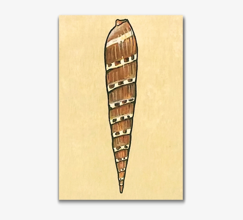 Wood, transparent png #8654190