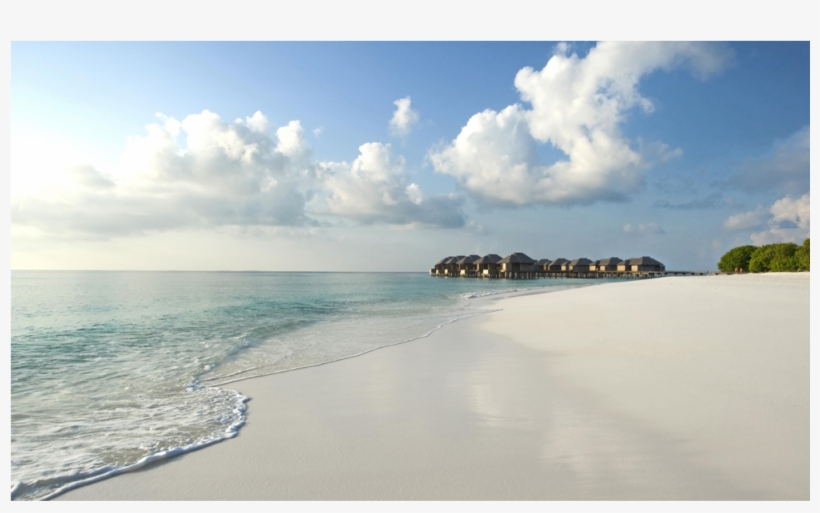 Score 50%, transparent png #8654465