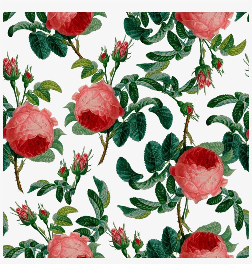 Mothers Day 2018 Flower Pattern Only Small - Flower Pattern Transparent, transparent png #8654478