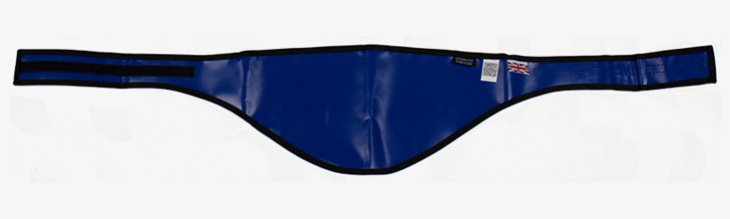 Sr0 - - G-string, transparent png #8655444