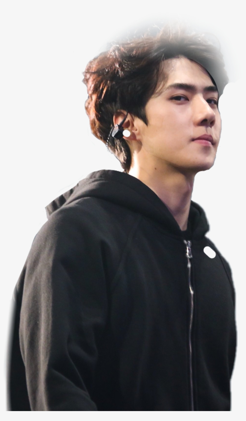 Report Abuse - Exo, transparent png #8655479