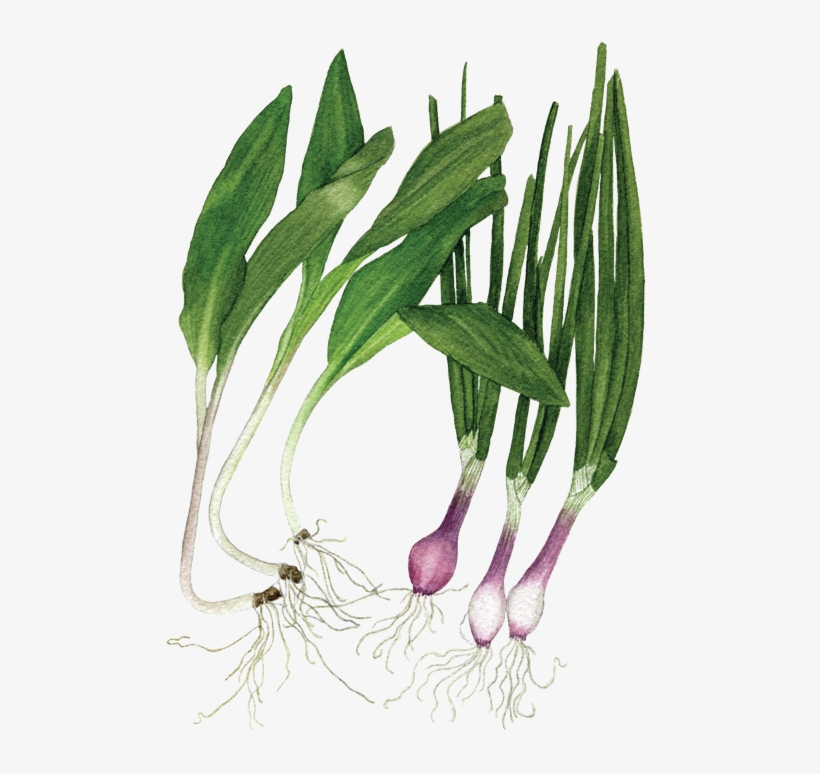 If You Want To Buy My Art, transparent png #8657674